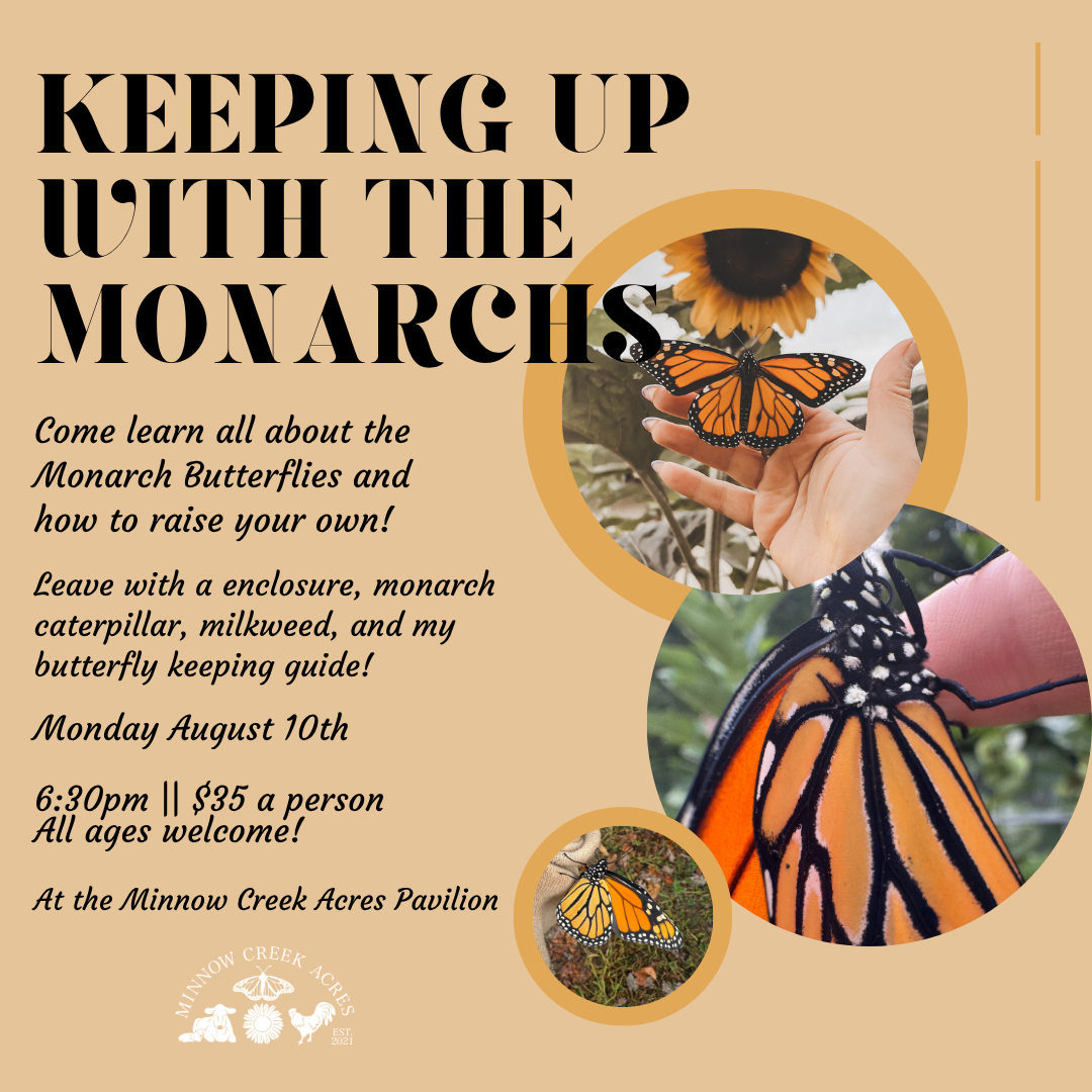 Monarch Butterfly Workshop on Minnow Creek Acres