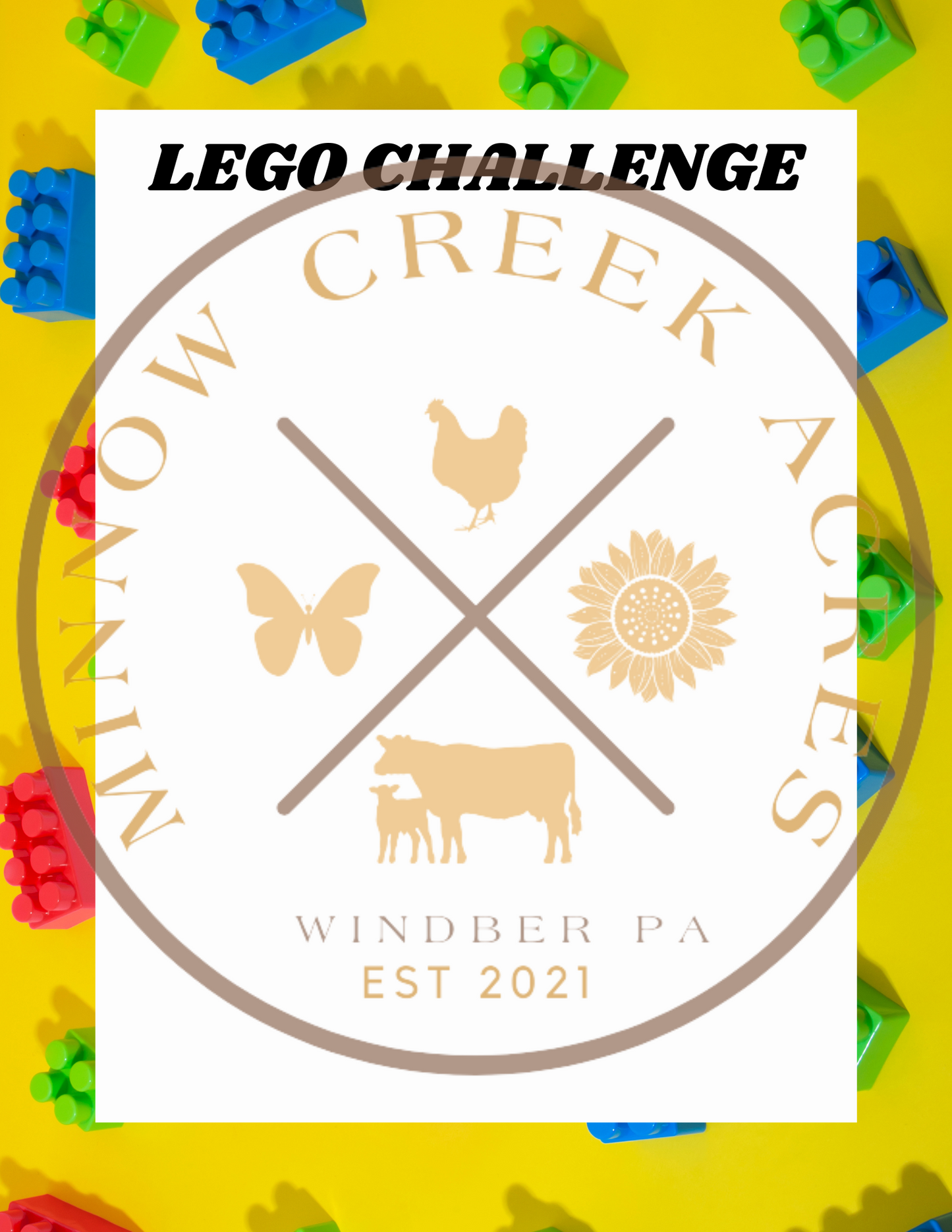 Lego Challenge