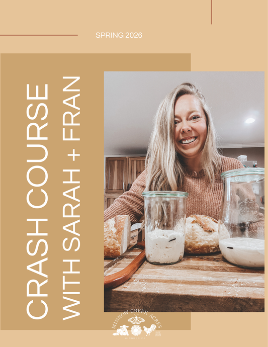 Sourdough Crash Course w/ Sarah + Fran