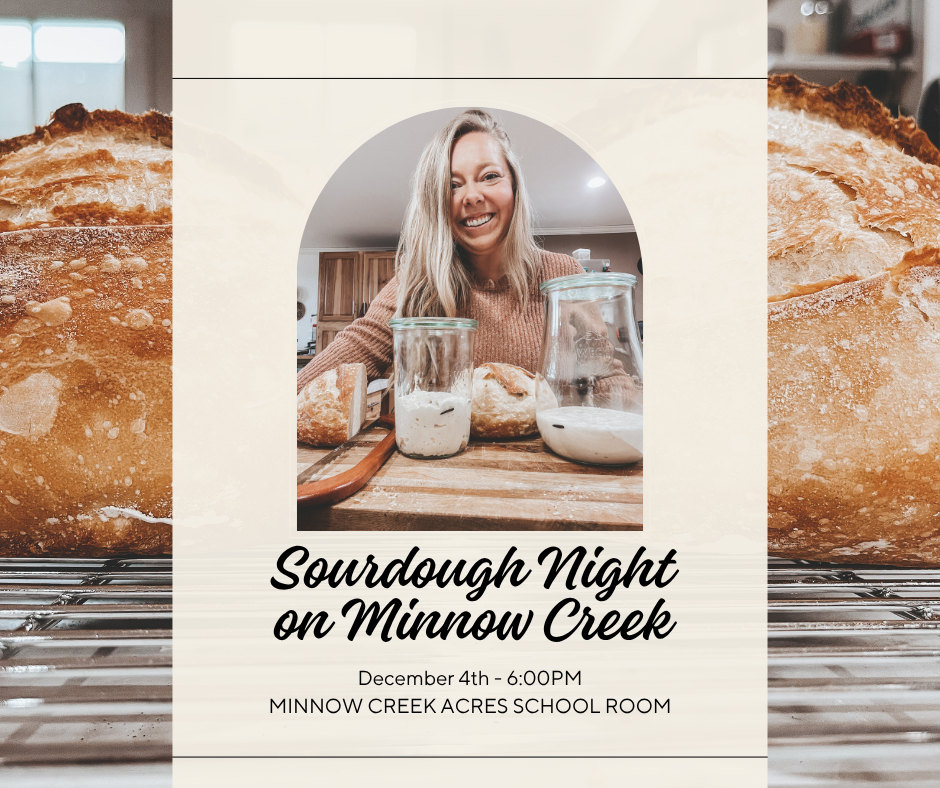 Sourdough Night on Minnow Creek