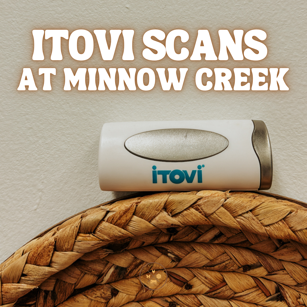 Itovi Scan